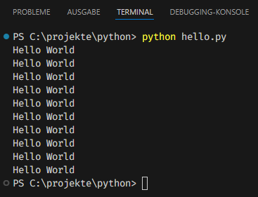 Ausführung des Python Codes